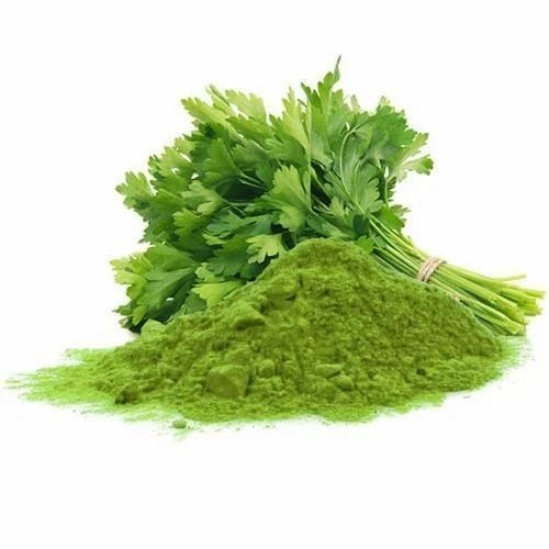 Coriander Leaves